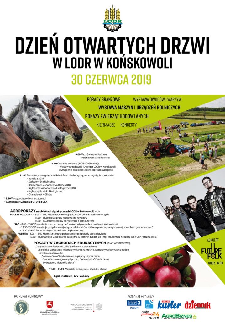 LODR Końskowola DOD 2019 - Plakat